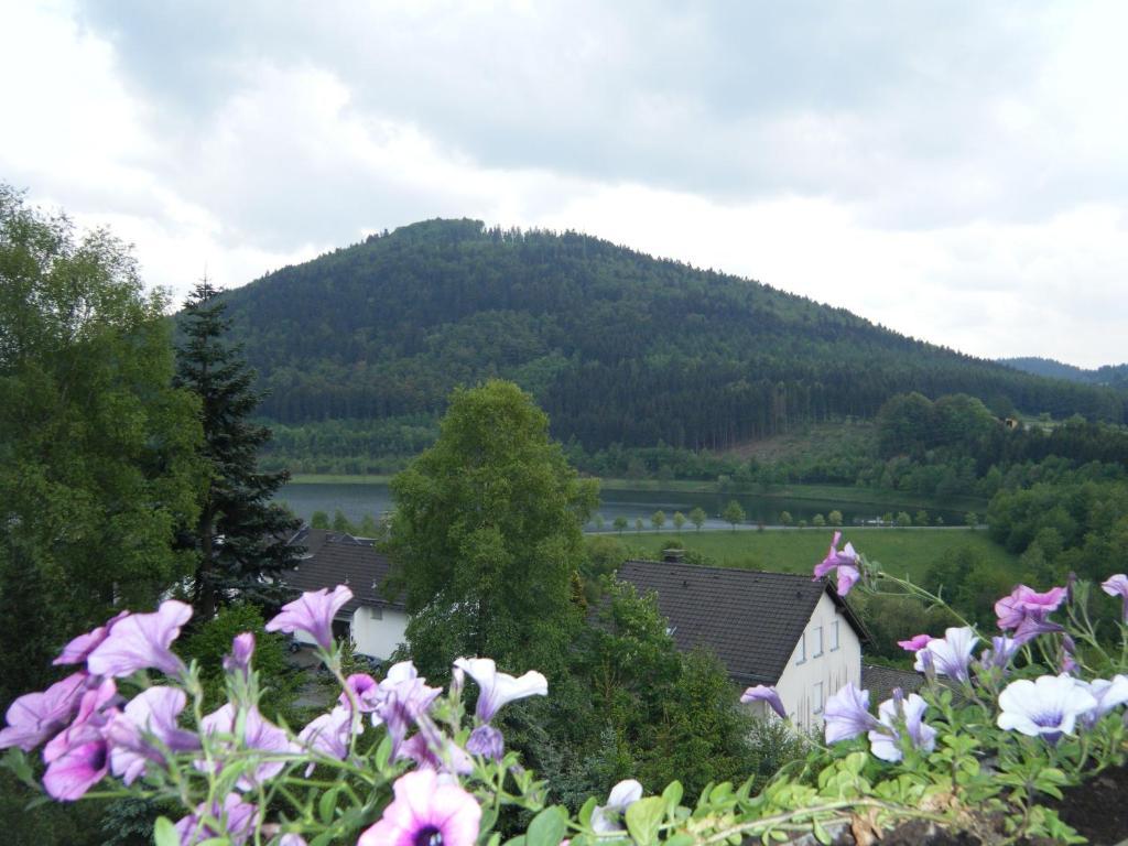 Apartment Schoenblick Winterberg Exterior foto